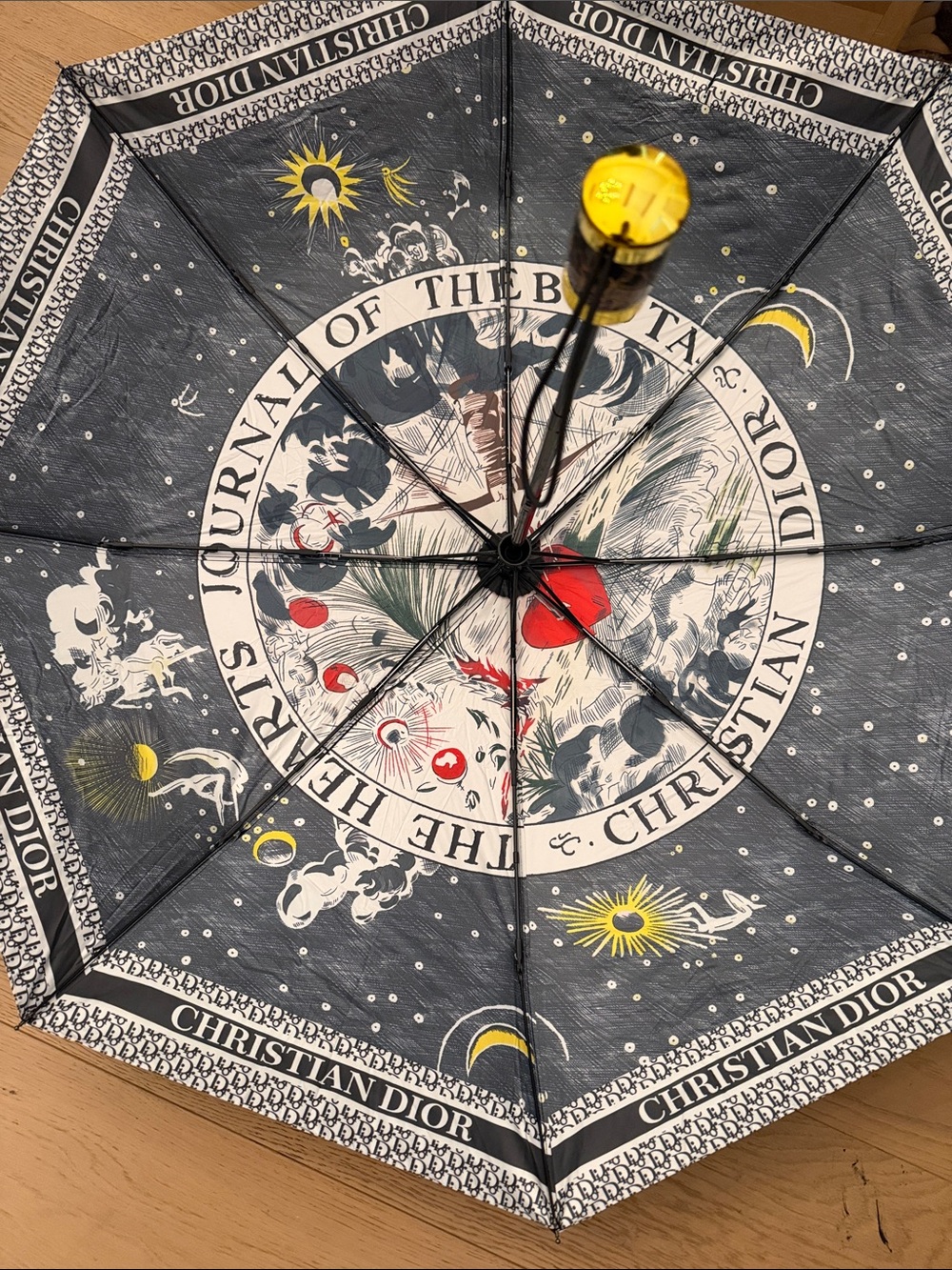 Dior Navy Umbrella with Red Heart and Botanical Print